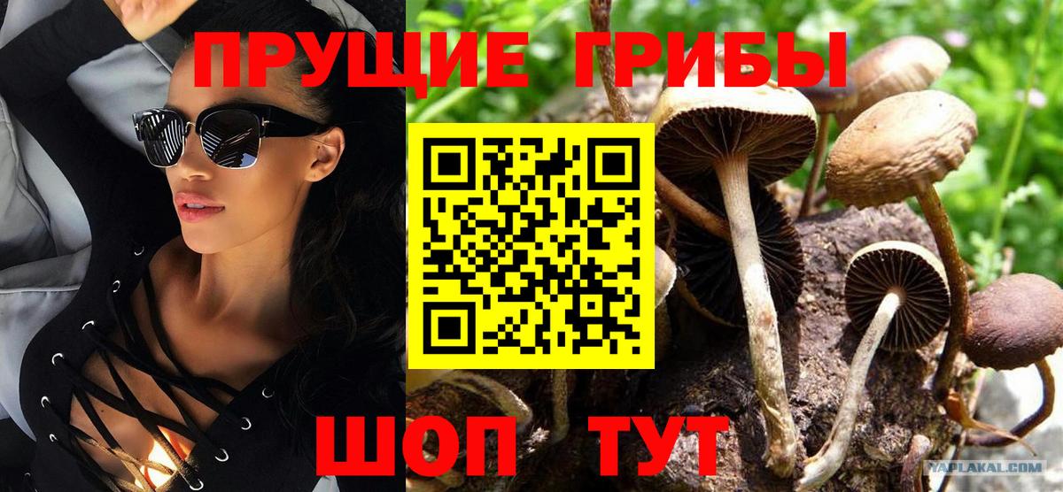 Зеленокумск  Галлюциногенные грибы Magic Shrooms  Вход с VPN 